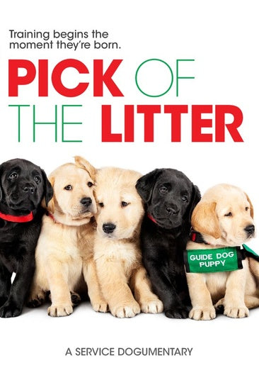 Pick Of The Litter