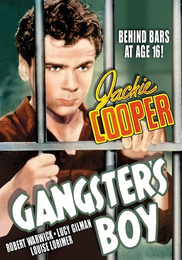 Gangster's Boy