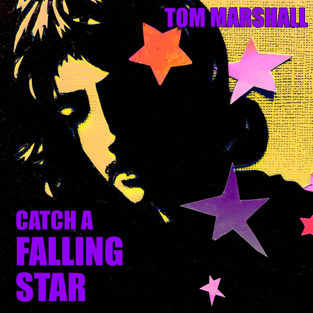 Catch A Falling Star cover