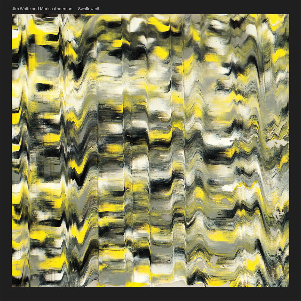 Swallowtail cover