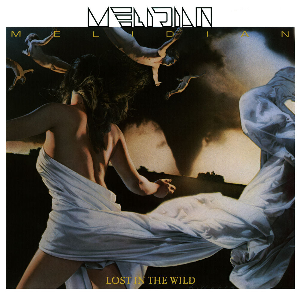 Lost in the Wild cover