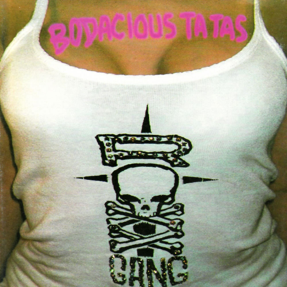 Bodacious Ta Tas cover