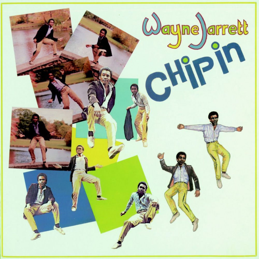 Chip in cover