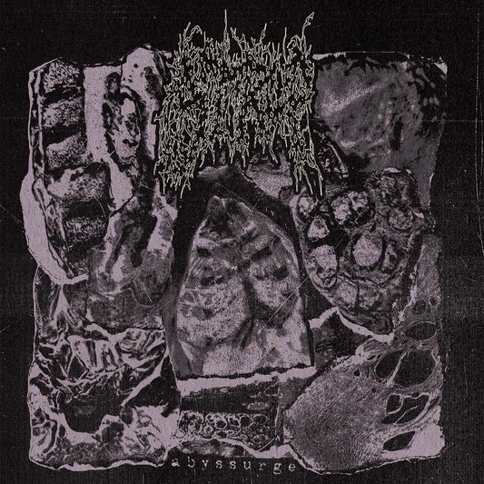 Abyssurge cover
