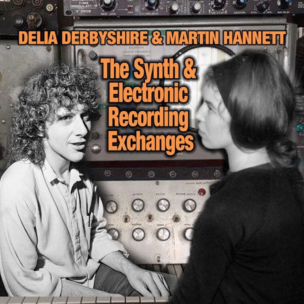 Synth And Electronic Recording Exchanges cover