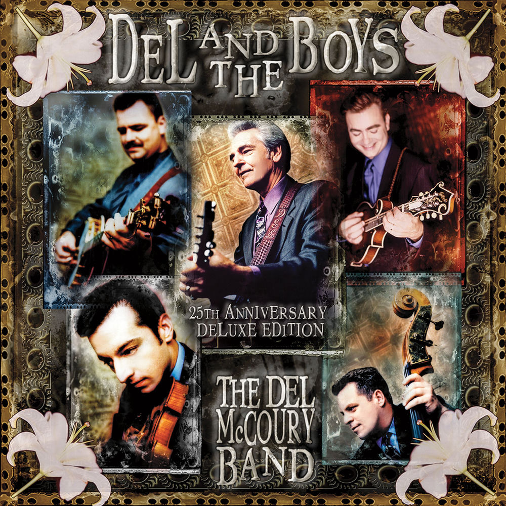 Del & the Boys - 25th Anniversary cover