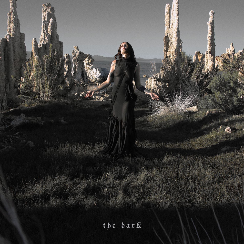 The Dark[LP] cover