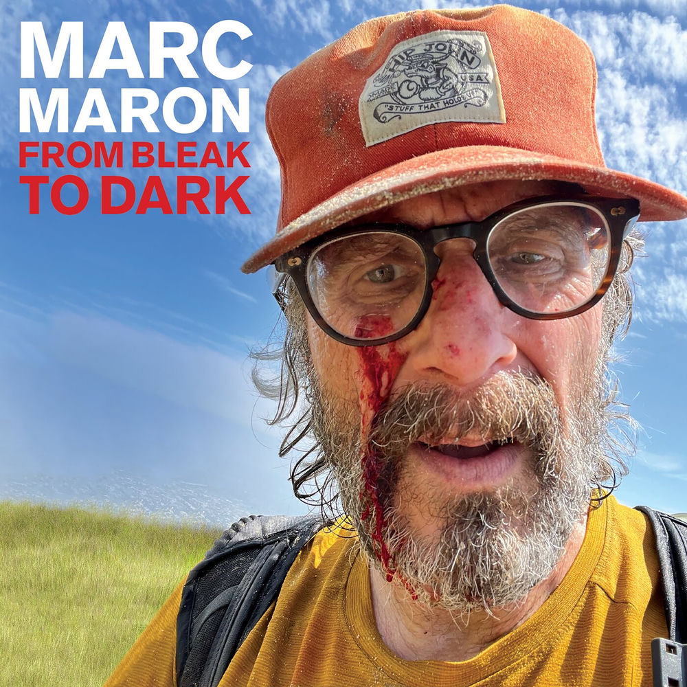 From Bleak To Dark [LP] cover