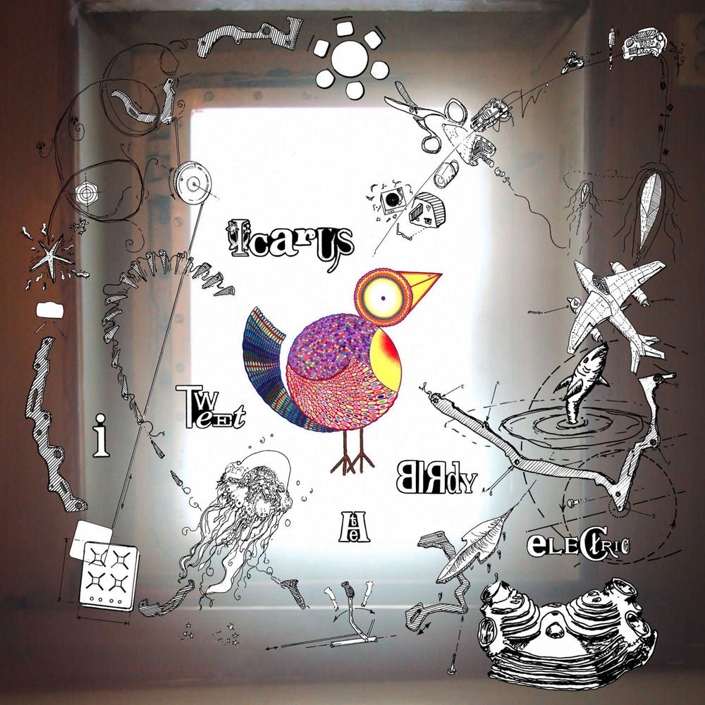I Tweet The Birdy Electric cover
