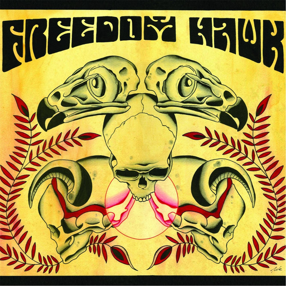 Freedom Hawk cover