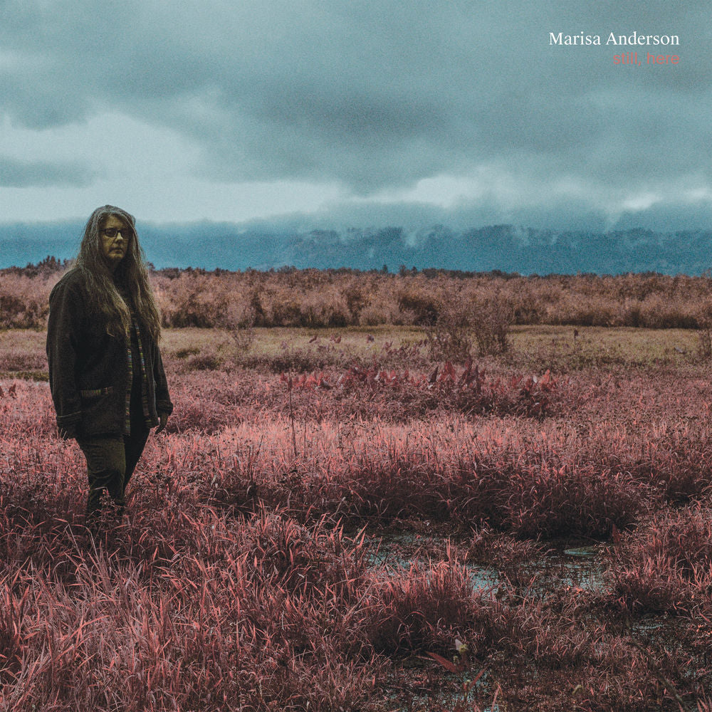 Still, Here cover