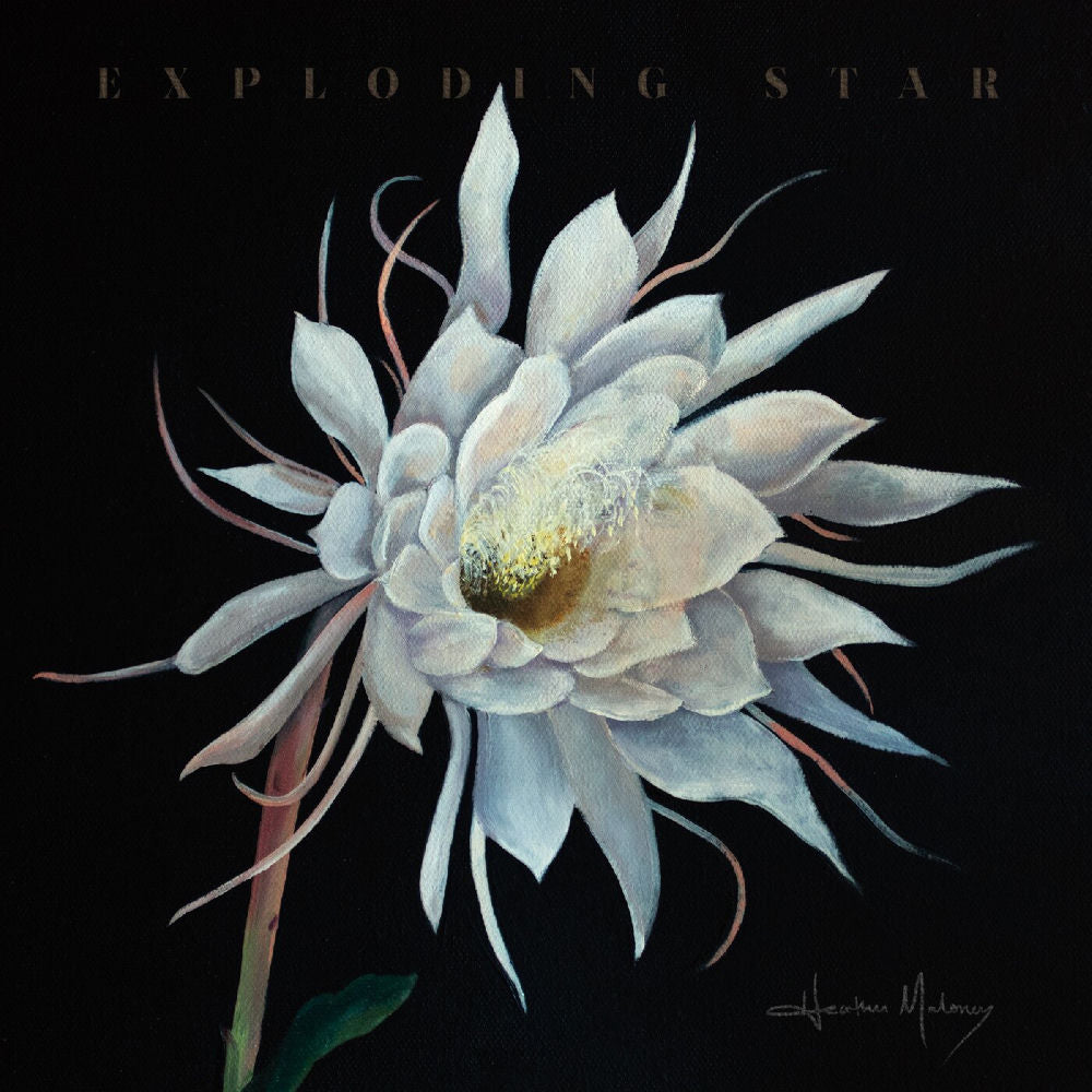 Exploding Star cover