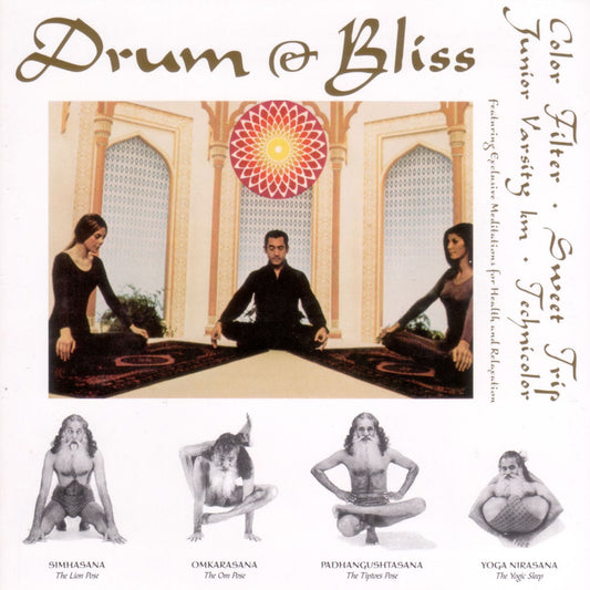 Drum & Bliss (Various Artists) cover