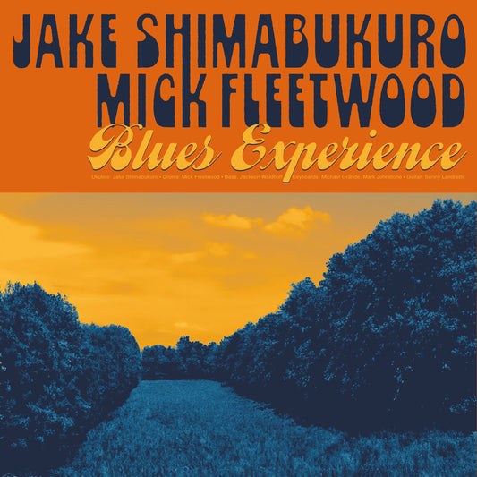 Blues Experience cover