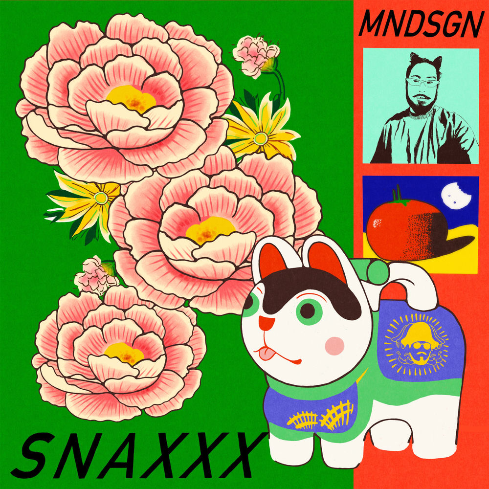 Snaxxx cover