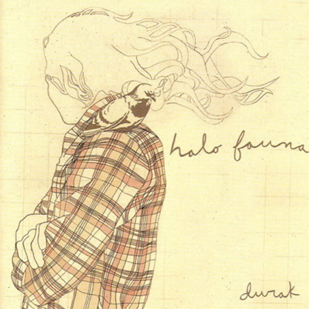 Durak cover