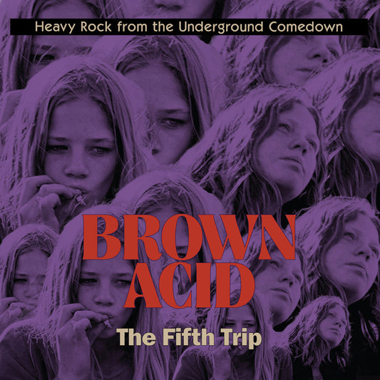 Brown Acid - The Fifth Trip (Various Artists) cover
