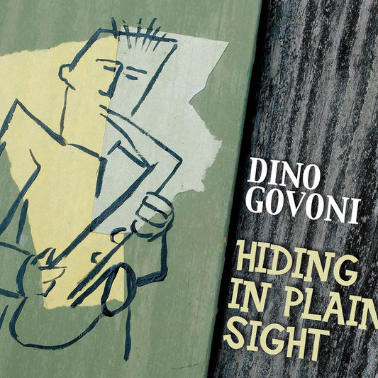 Hiding in Plain Sight cover