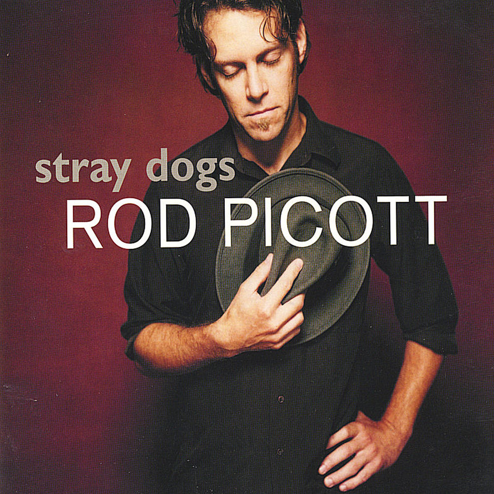 Stray Dogs cover