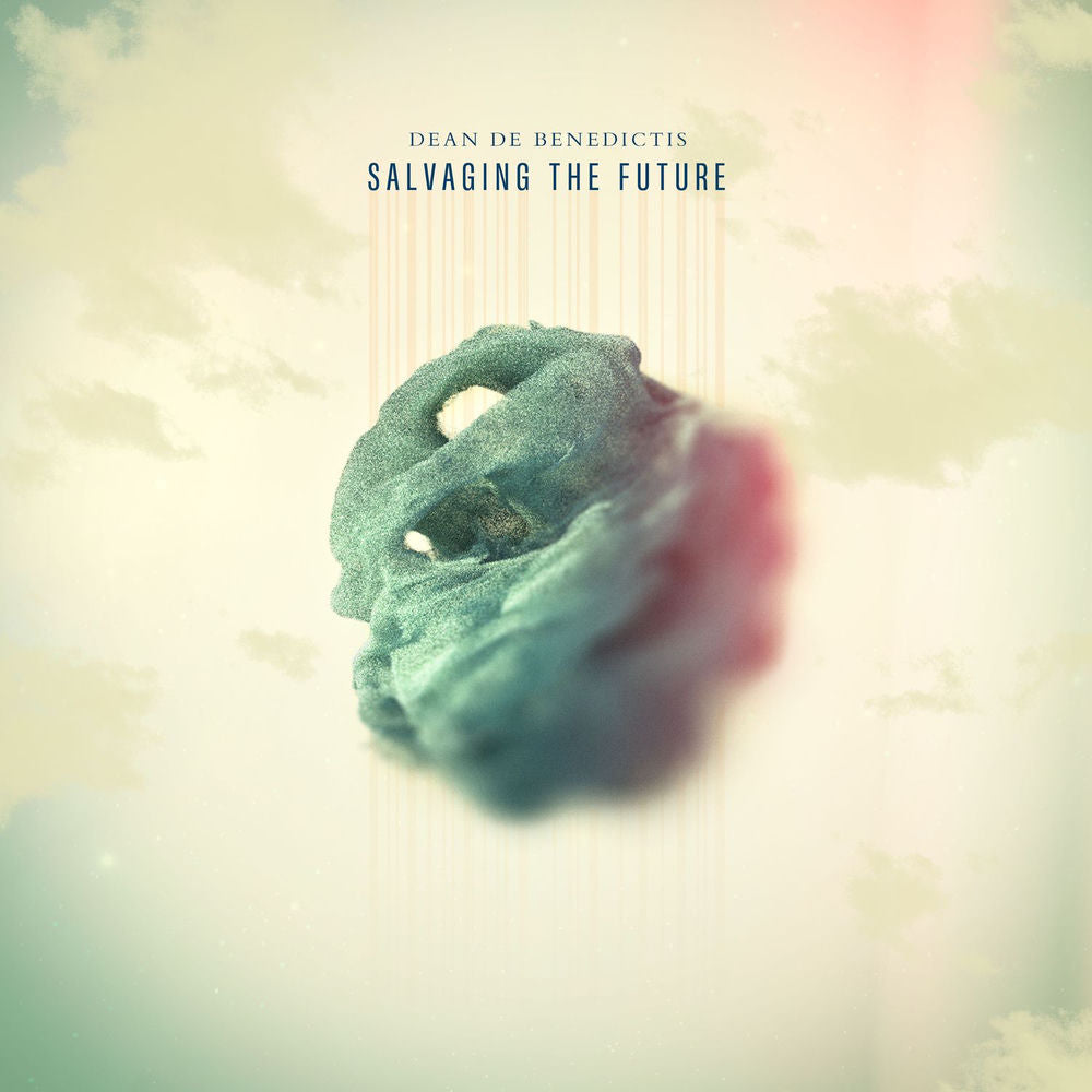 Salvaging The Future cover