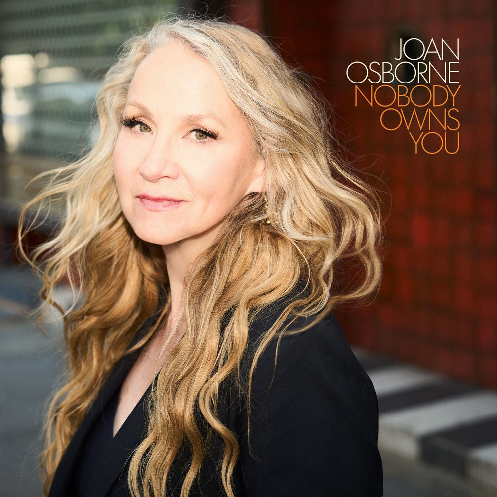 Nobody Owns You cover