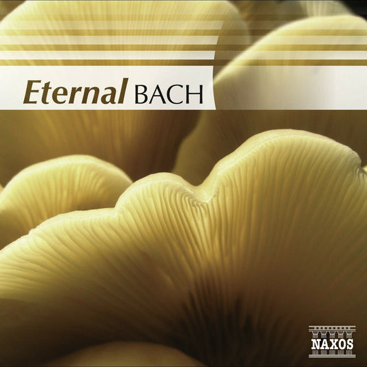 Eternal Bach cover