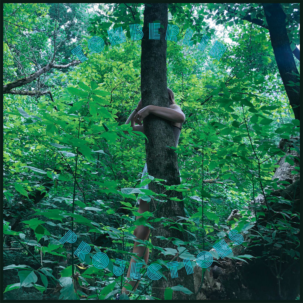 Projections cover