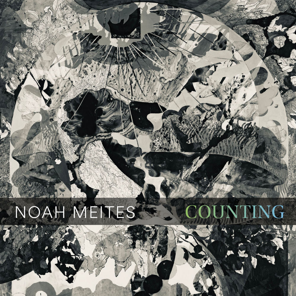 Noah Meites: Counting cover