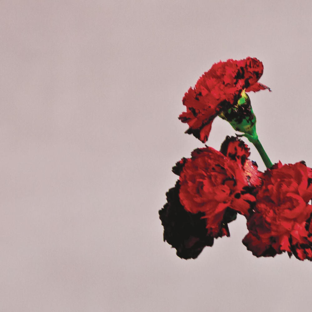 In the Future cover