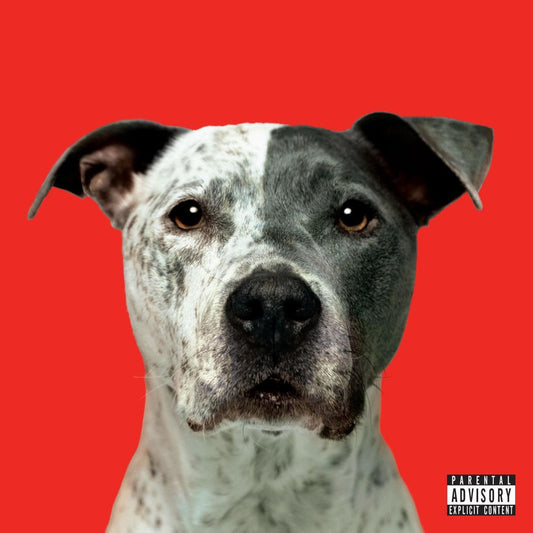 FLIGHT cover
