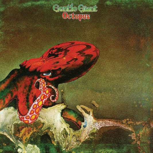Octopus cover