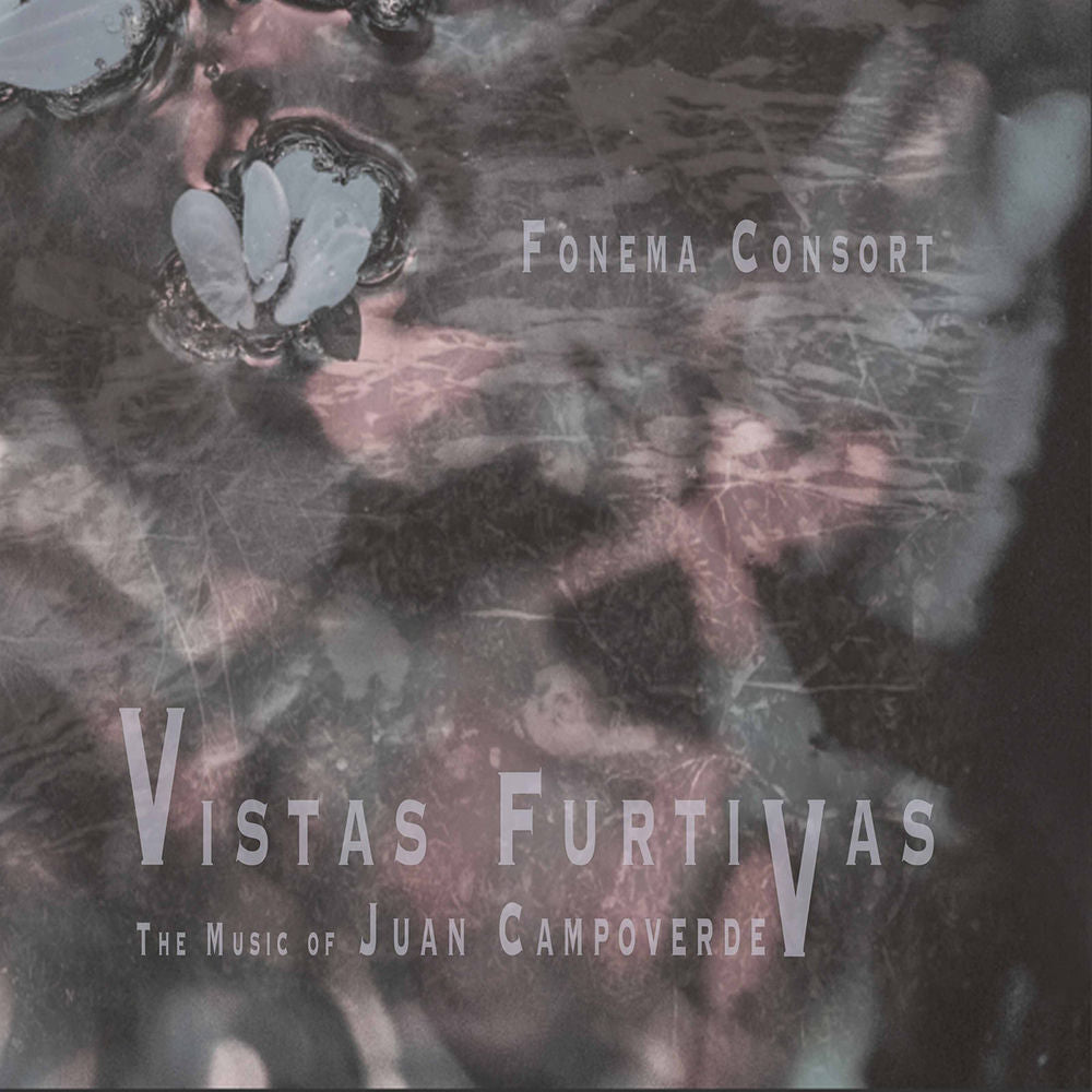 Vistas Furtivas cover