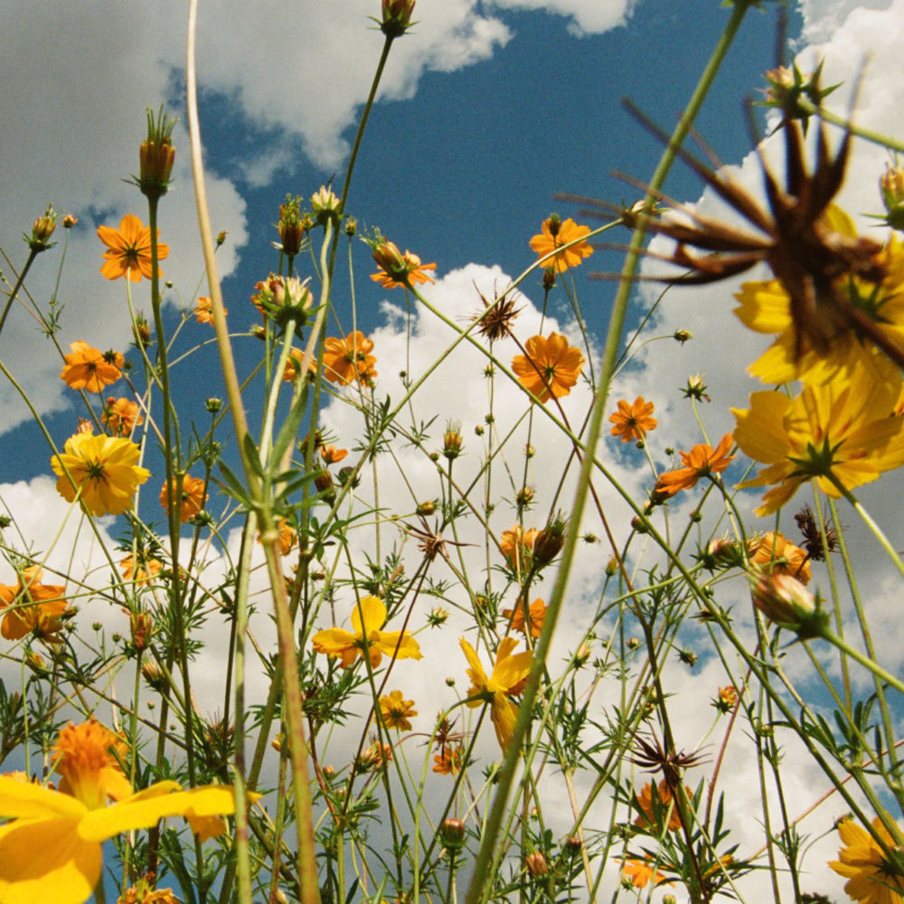 You Are Spring! cover