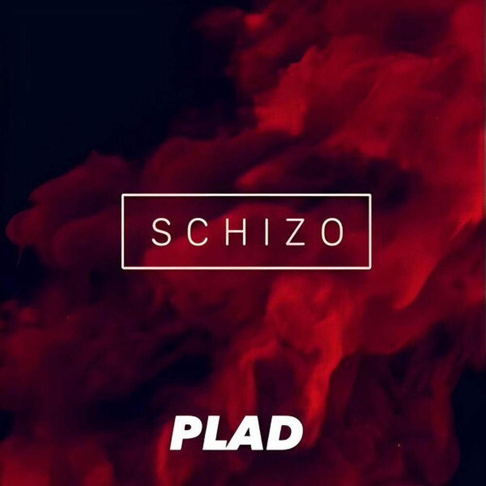 Schizo cover