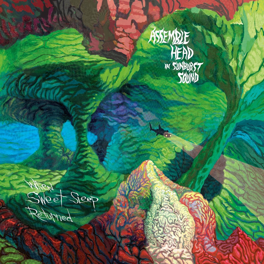 When Sweet Sleep Returned cover