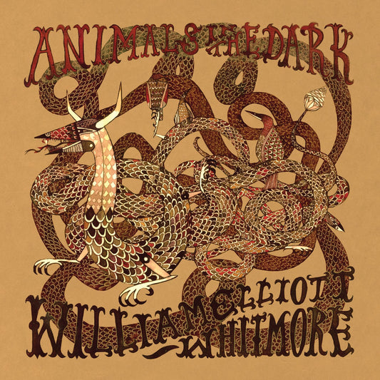 Animals in the Dark cover