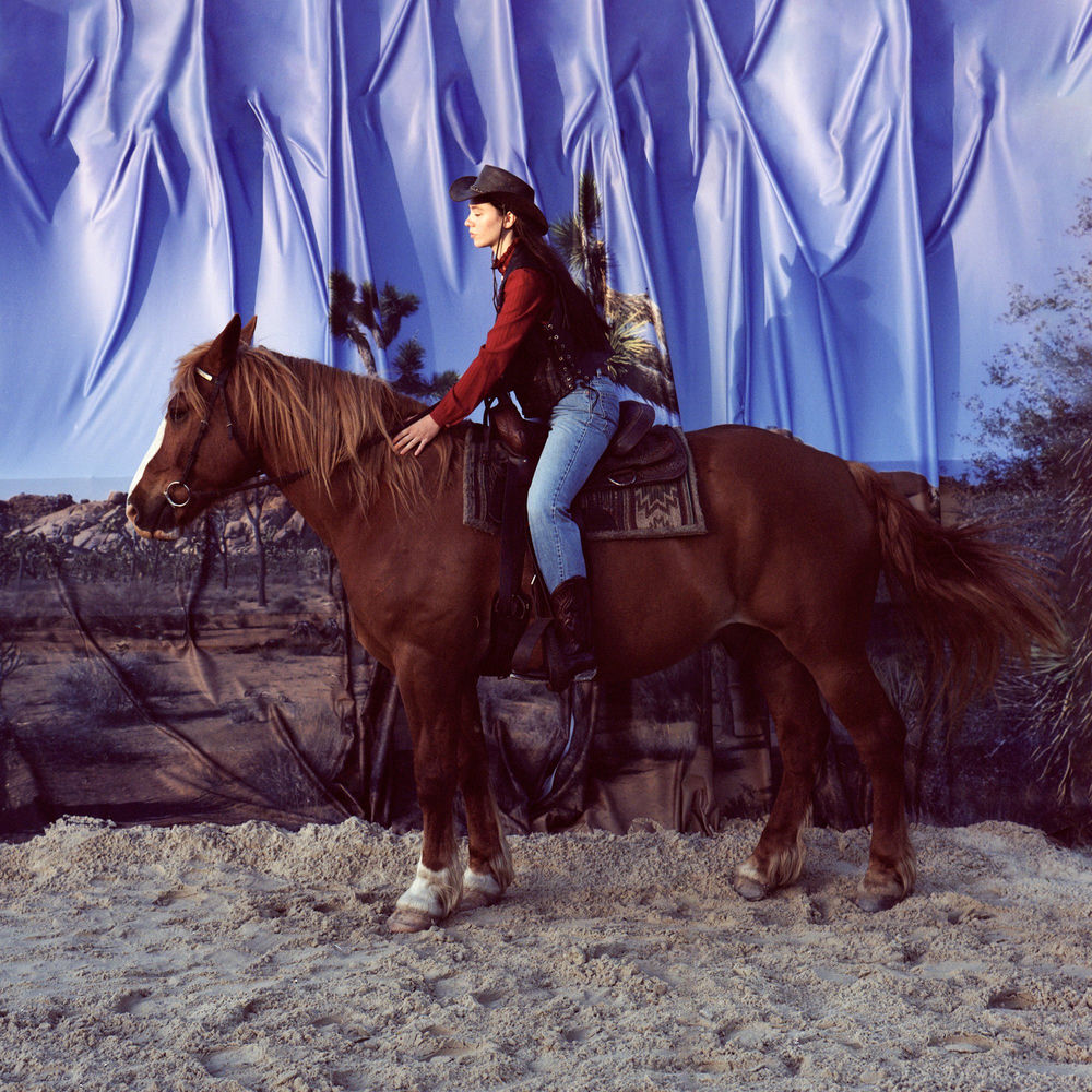 Horse cover