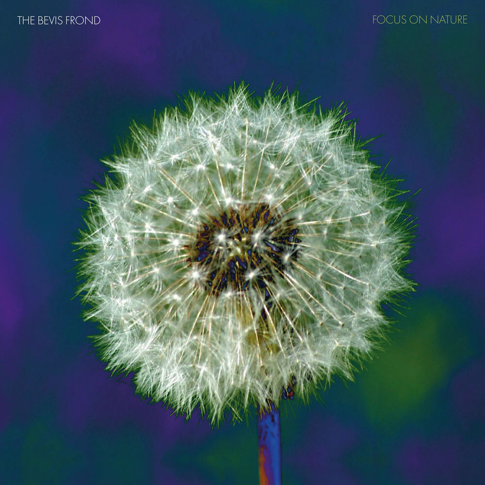Focus on Nature cover