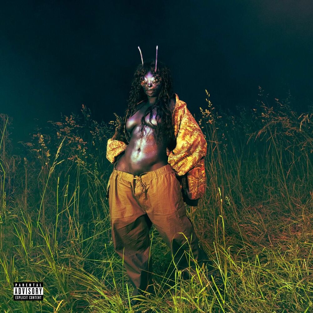 SOS Deluxe: LANA cover