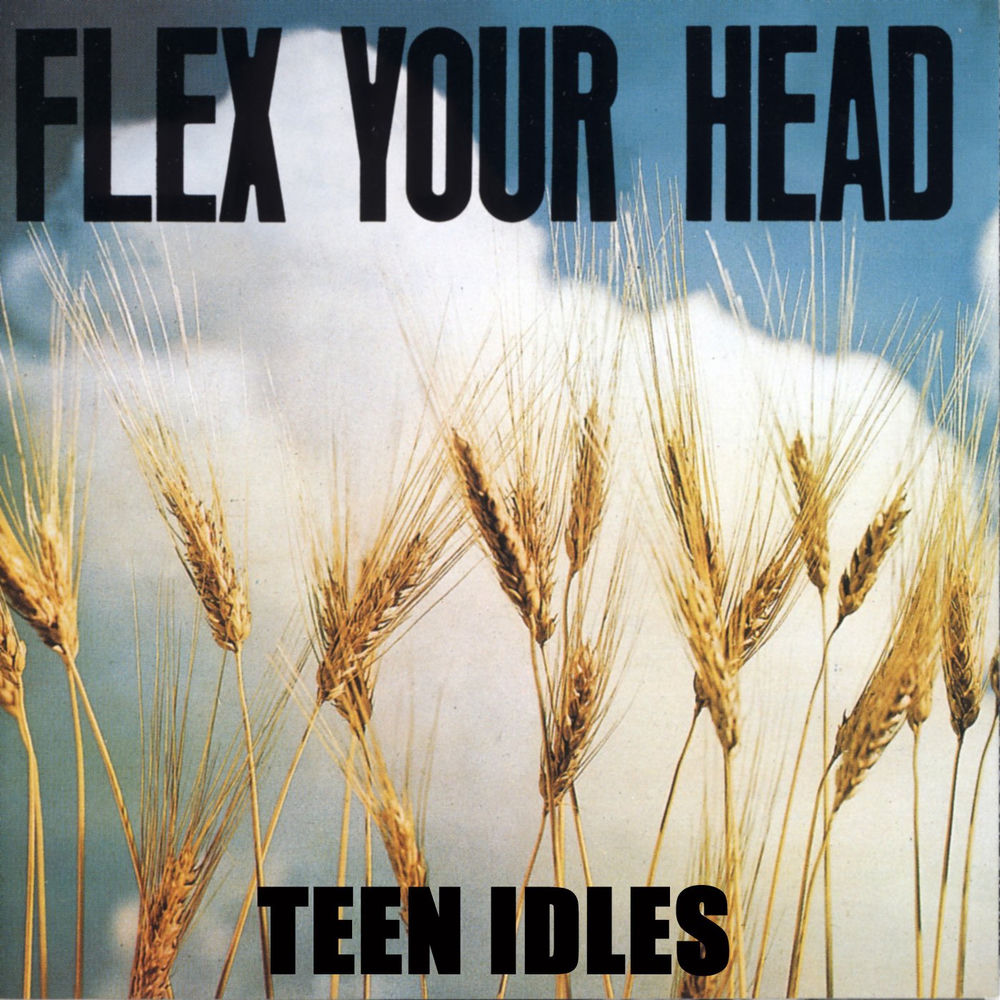 Flex Your Head cover