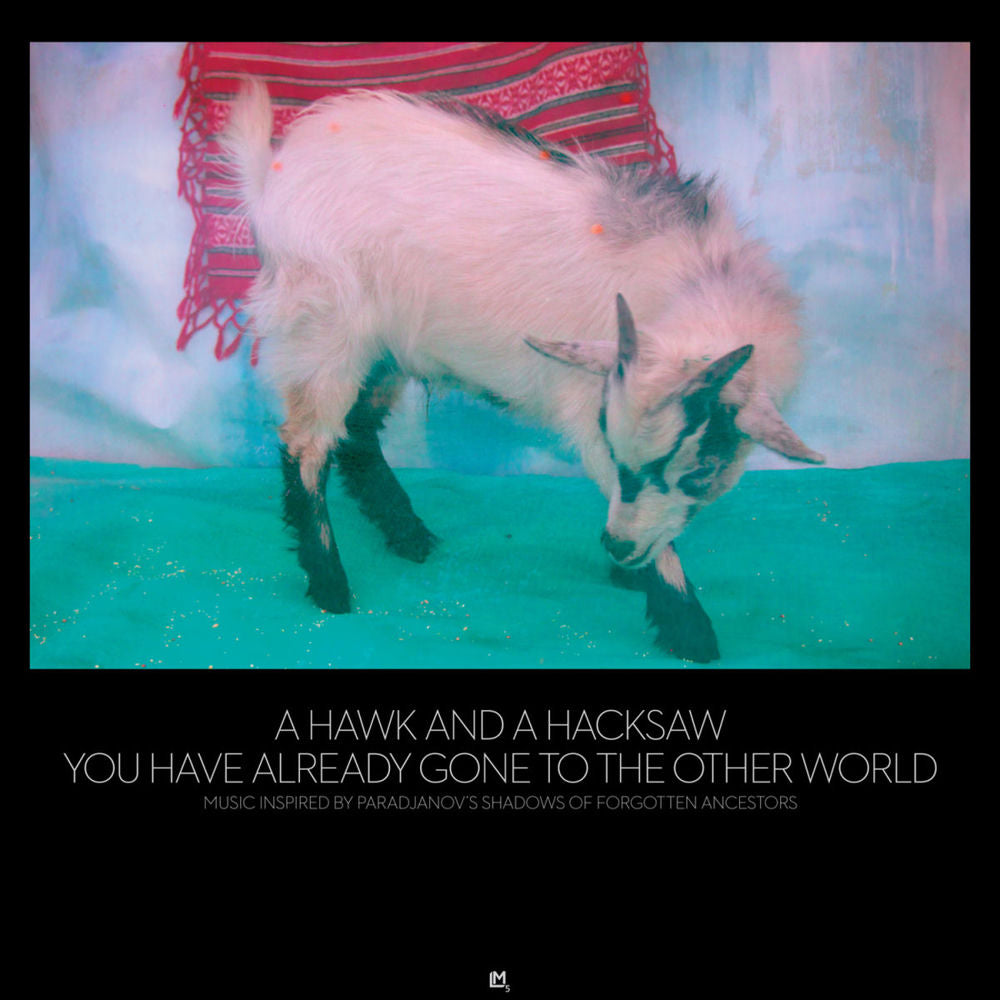 You Have Already Gone to the Other World cover