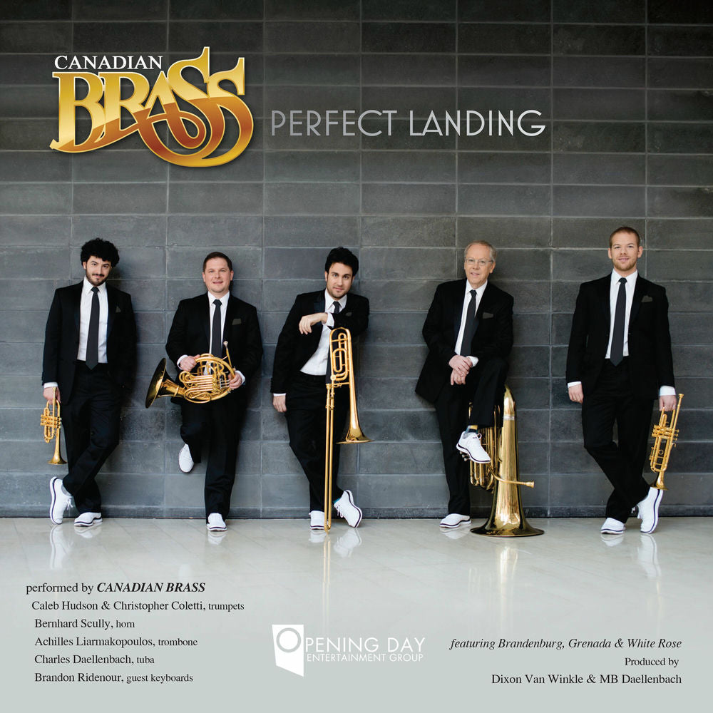 Perfect Landing cover