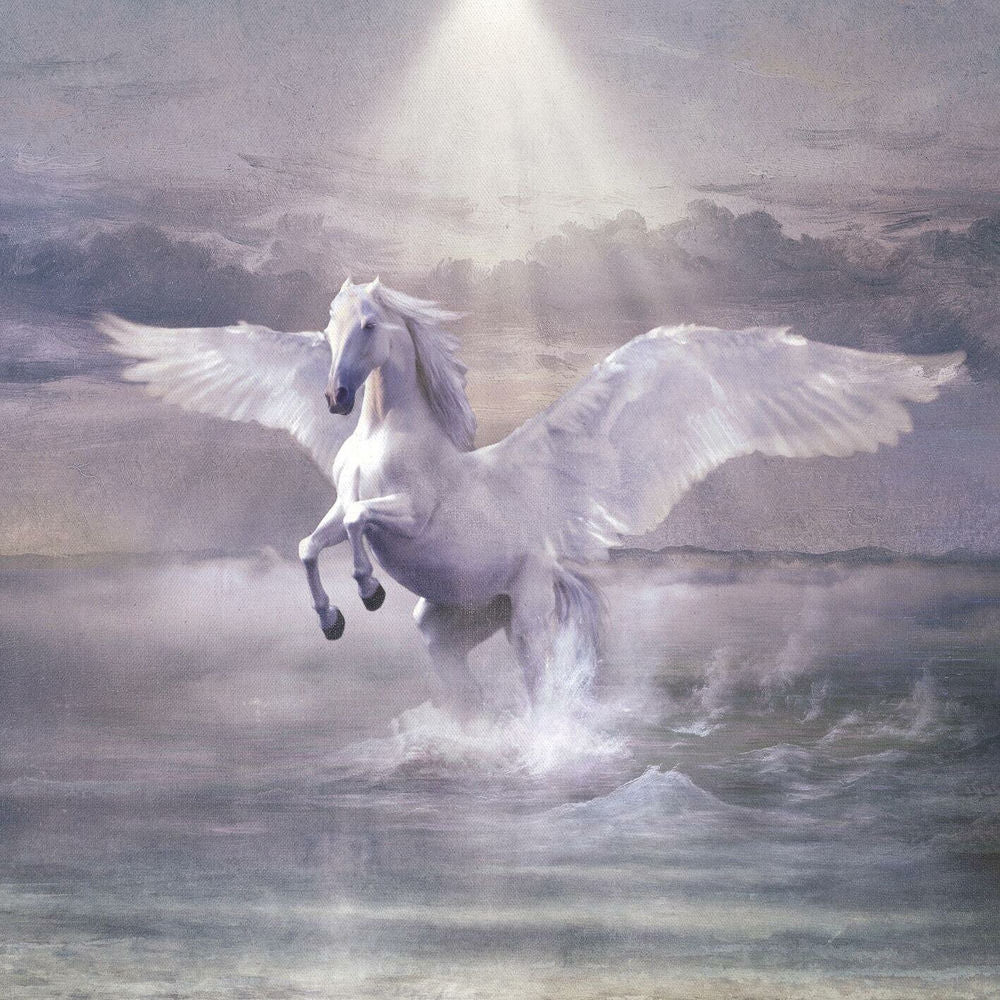 Sulle Ali Del Cavallo Bianco cover