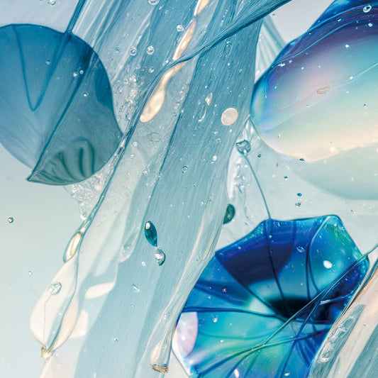 Dear Companion cover