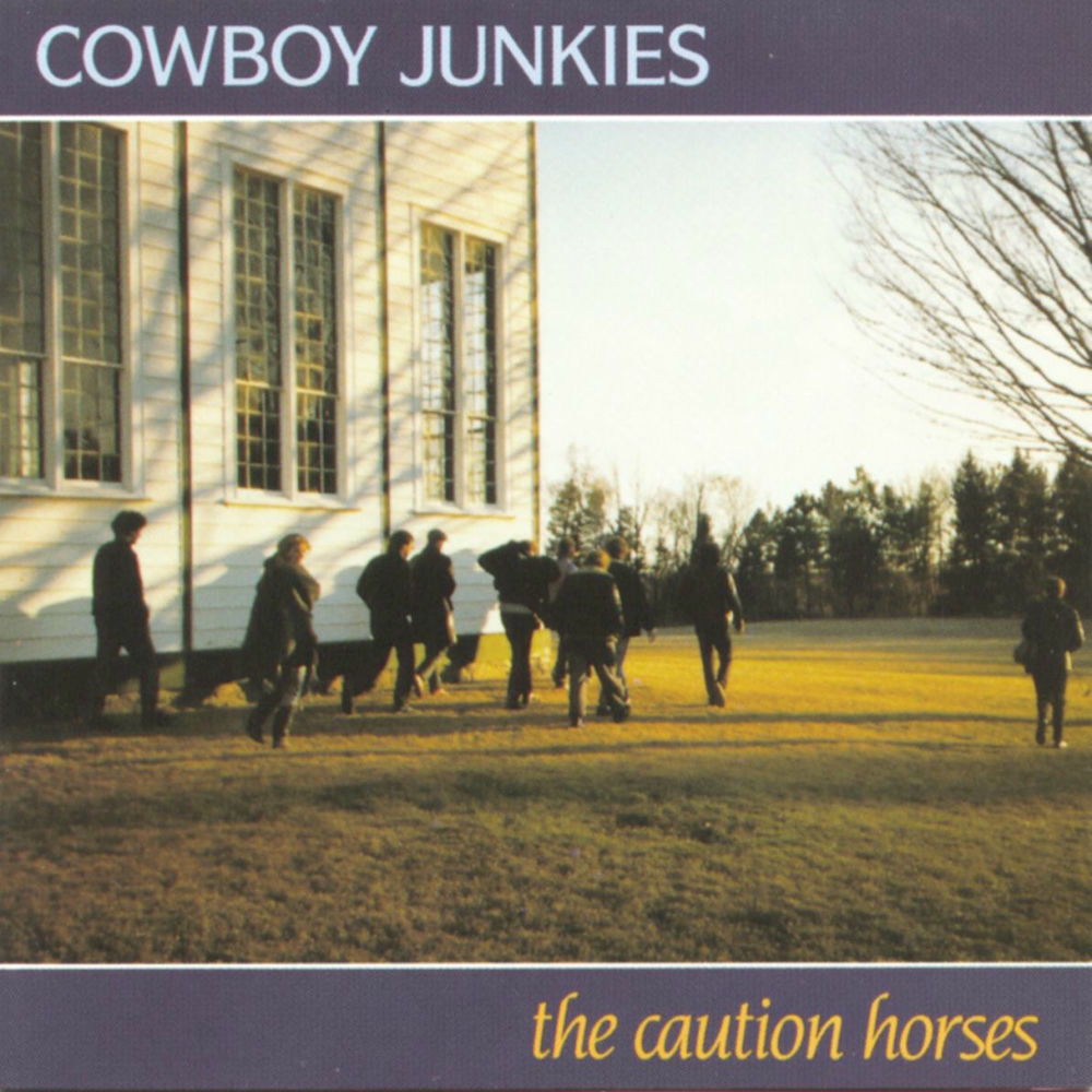 The Caution Horses [Vinyl] cover