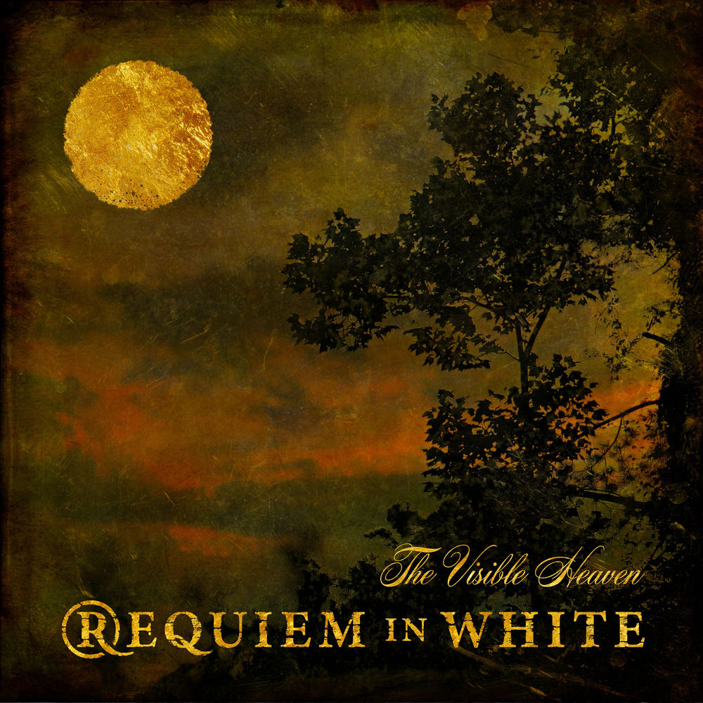 The Visible Heaven cover