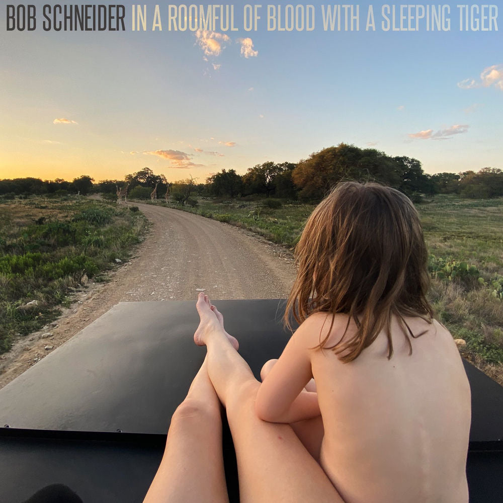 In a Roomful of Blood with a Sleeping Tiger cover