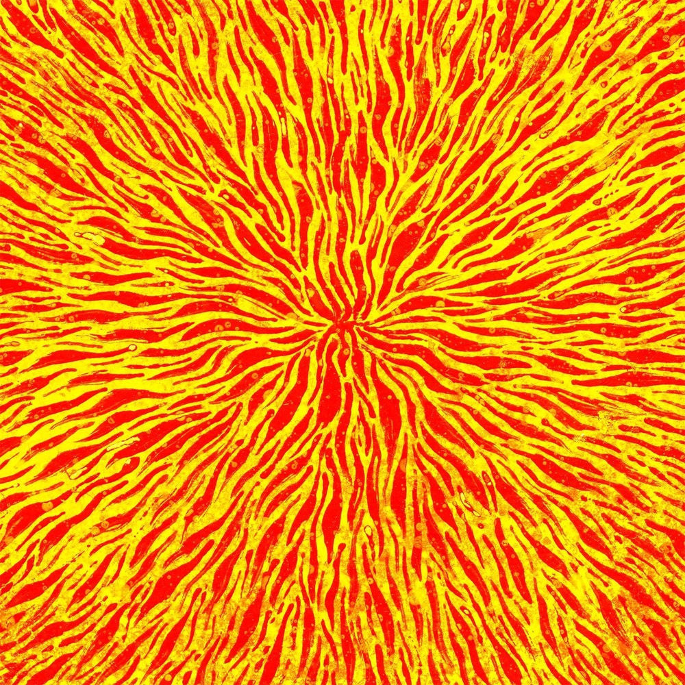 We Are All Fire cover