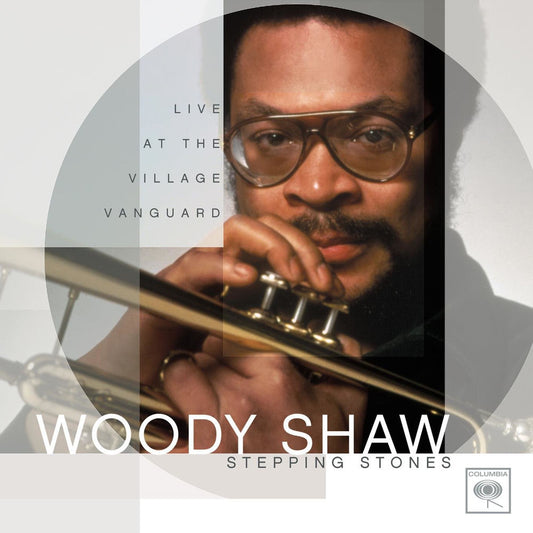Stepping Stones: Live At The Village Vanguard cover