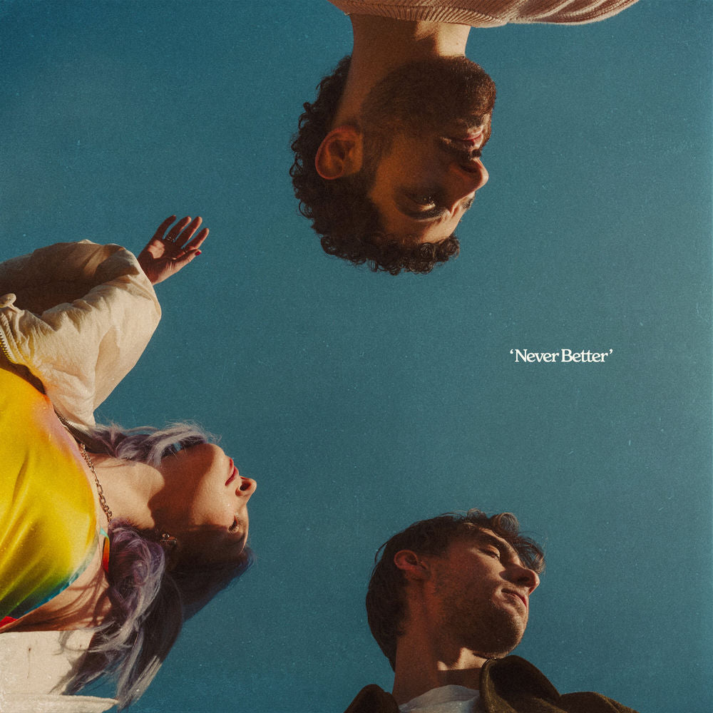 Never Better cover
